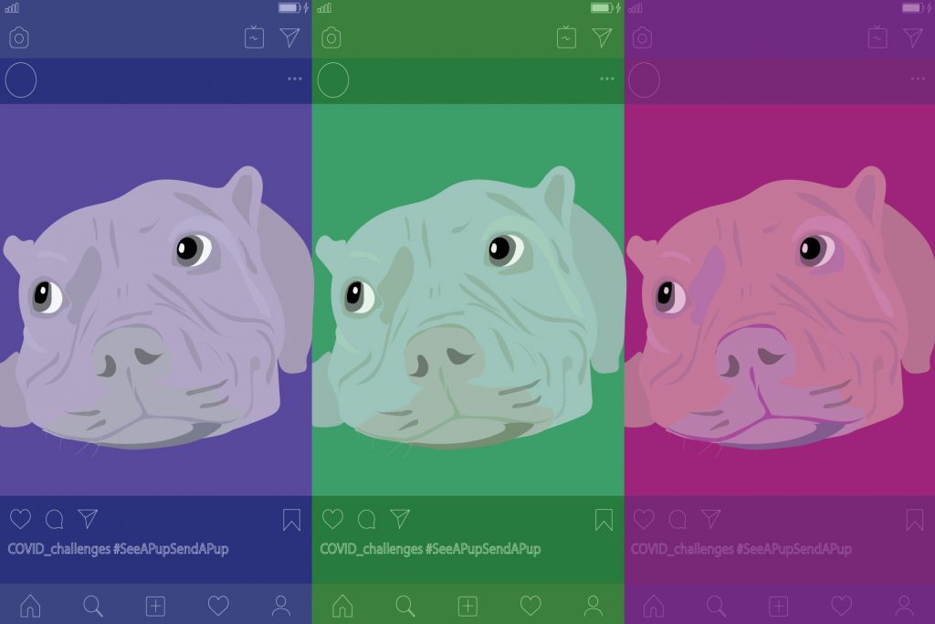 Illustation of instagram challenges