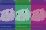 Illustation of instagram challenges