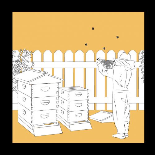 Illustration of Maya Vargas of a person beekeeping