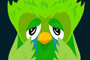 Duolingo owl