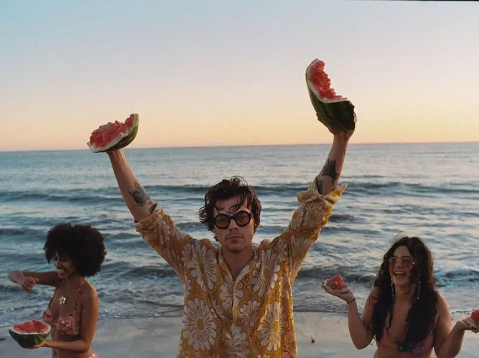 Watermelon Sugar Has Harry Styles Fans Deciphering Clues Once Again