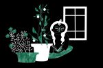 Illustration of a woman beside her indoor garden.