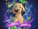 Bunny, the talking dog of TikTok