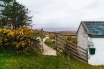 In an article about Irish immigrants, a photo of Irish countryside