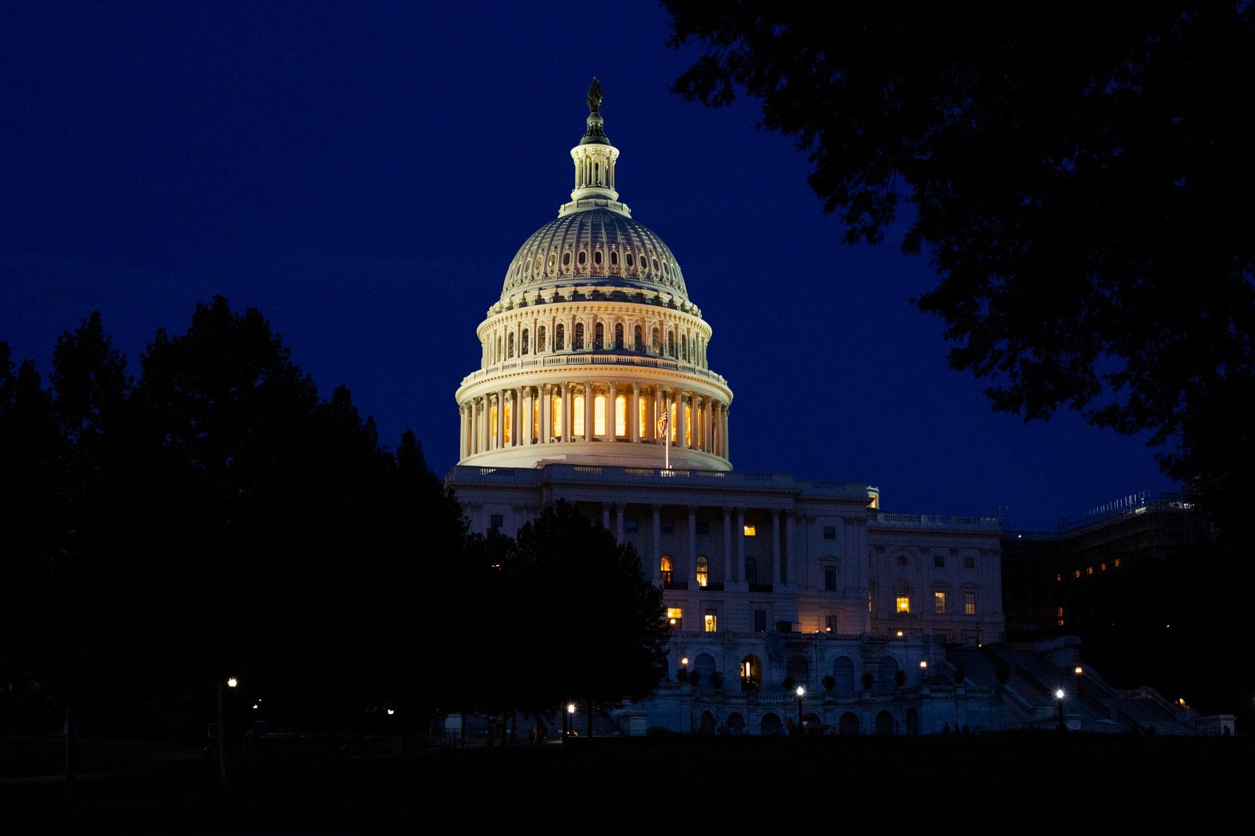 Representation in government. (Photo by Darren Halstead from Unsplash)