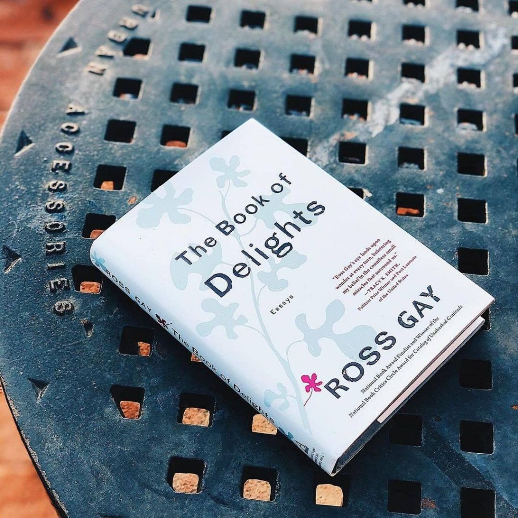 The Book of Delights