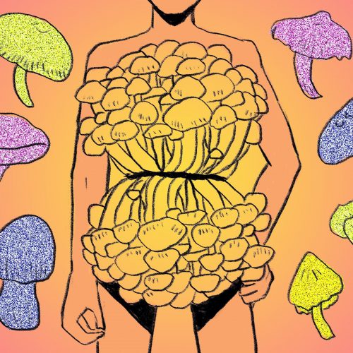 Illustration by Marlowe Pody for an article on mushrooms
