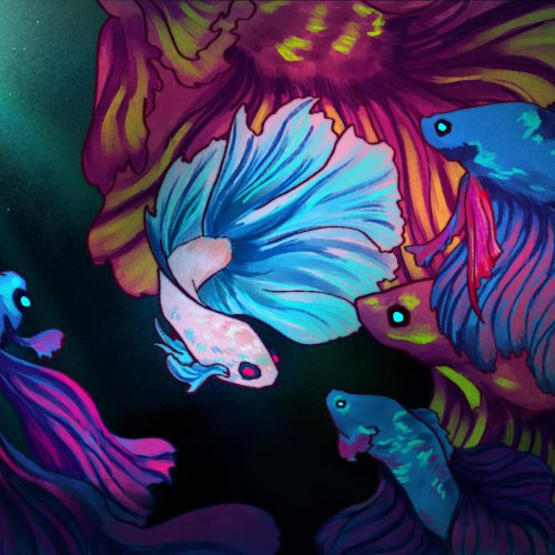Illustration by Lucas DeJesus for an article on betta fish