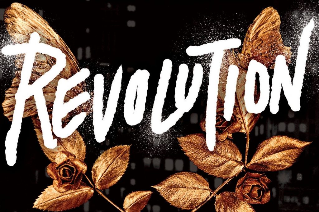 A close-up of the cover of Donnelly's novel entitled Revolution.