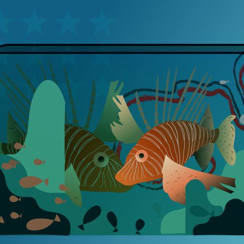 An art piece of a lionfish in a tank against a blue background.