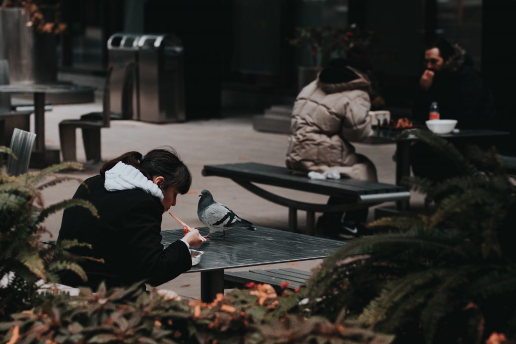 food insecurity impacting students all over america