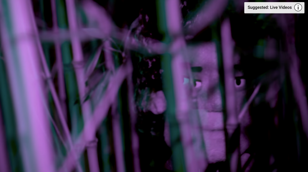 In an article about Liz Phair, a puppet face from the music video for "Hey Lou" from "Soberish" is cast in a purple light among twigs and leaves. (Image via Google Images)