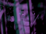 In an article about Liz Phair, a puppet face from the music video for "Hey Lou" from "Soberish" is cast in a purple light among twigs and leaves. (Image via Google Images)
