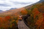 in an article about transport abroad, a train cutting through a hill