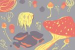 Illustration of mushrooms in Fantastic Fungi