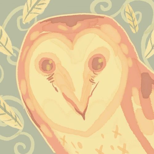 owl from R.J. Anderson Faery Rebels series