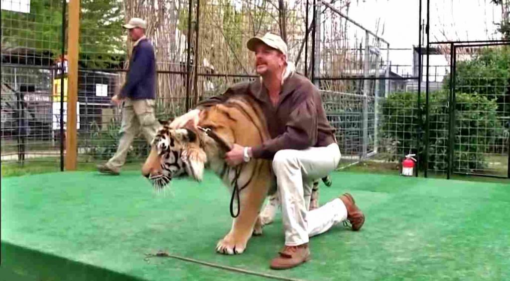 in article about Tiger King season 2, a photo Joe Exotic next to a tiger