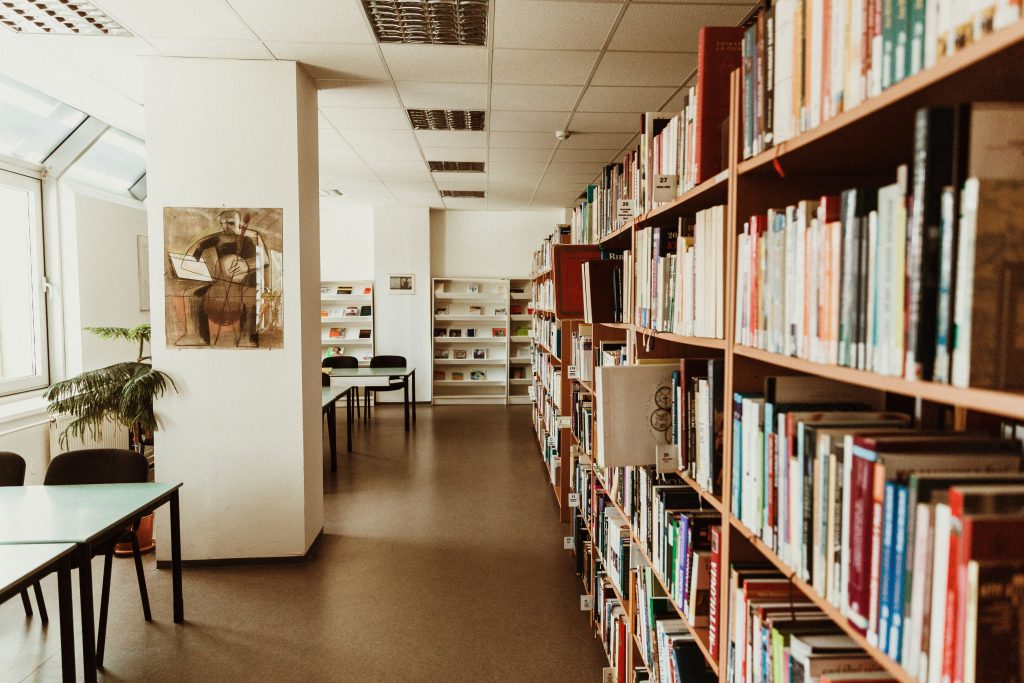 Library books displayed on shelves