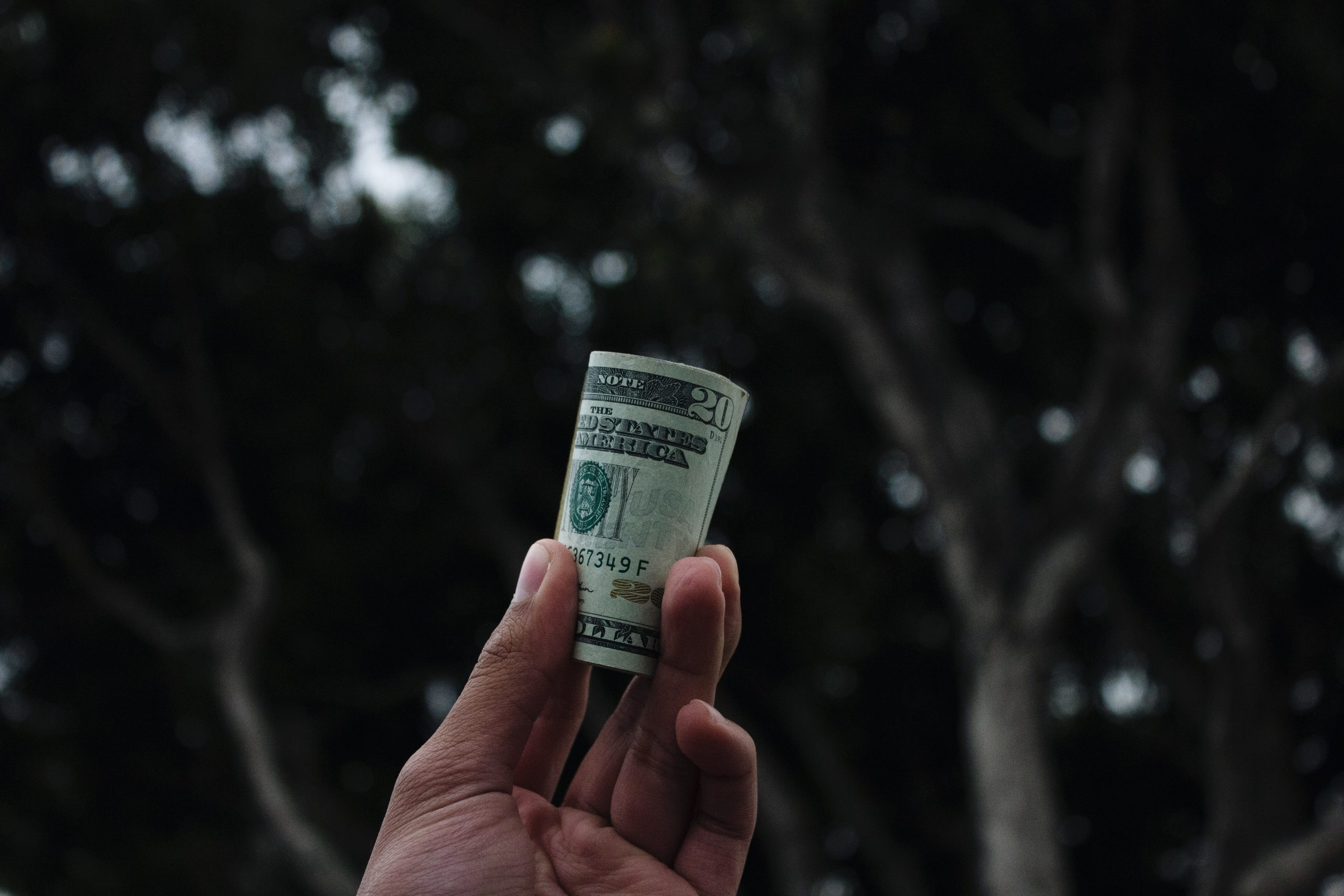 a hand holding a bankroll