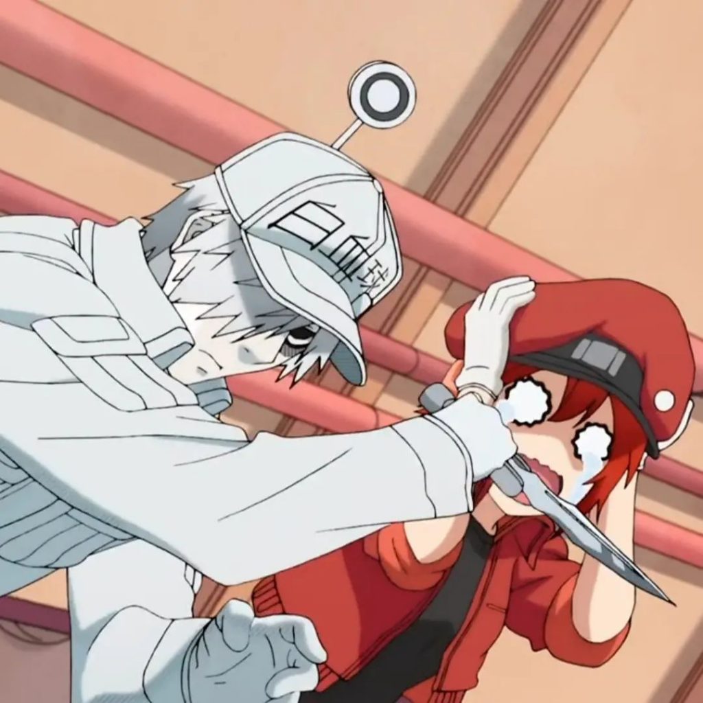 a screenshot from the program Cells at Work