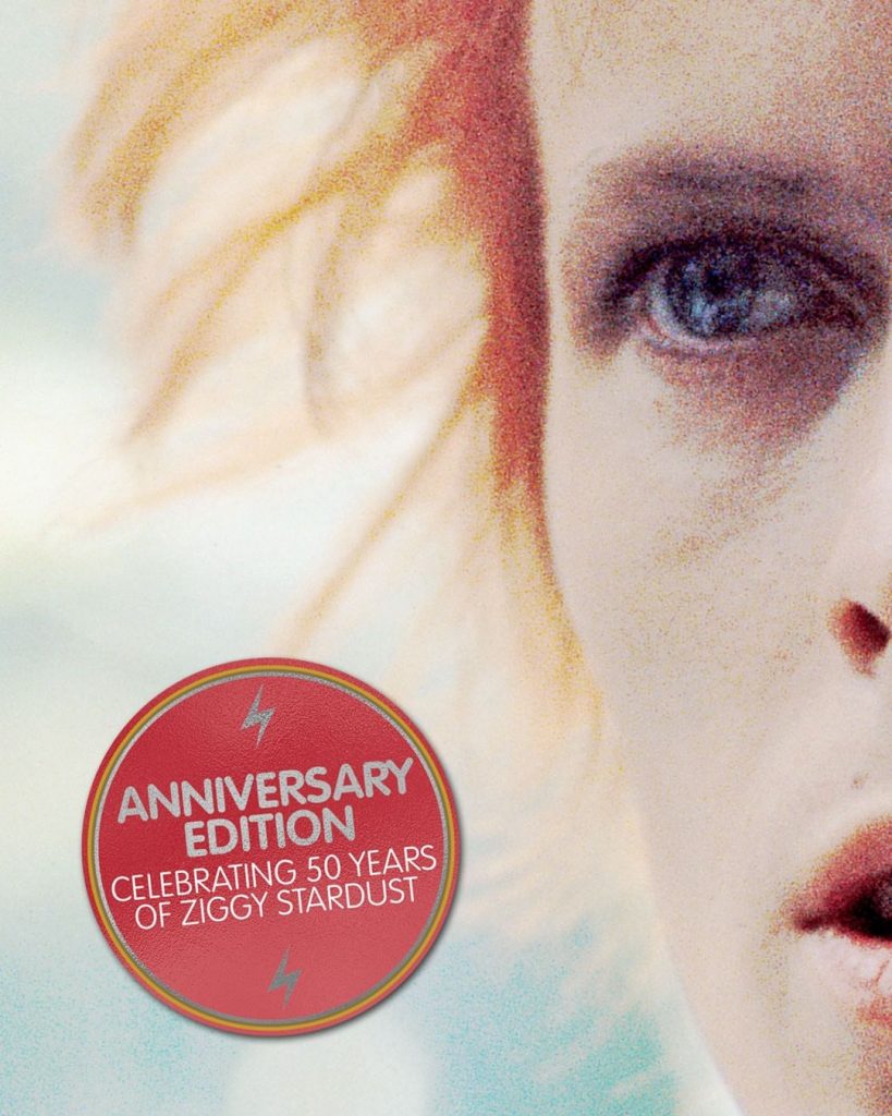 ziggy stardust book cover