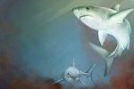 two sharks from shark movies