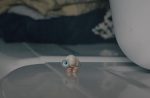 Marcel the Shell stares off into the distance on top of a washing machine