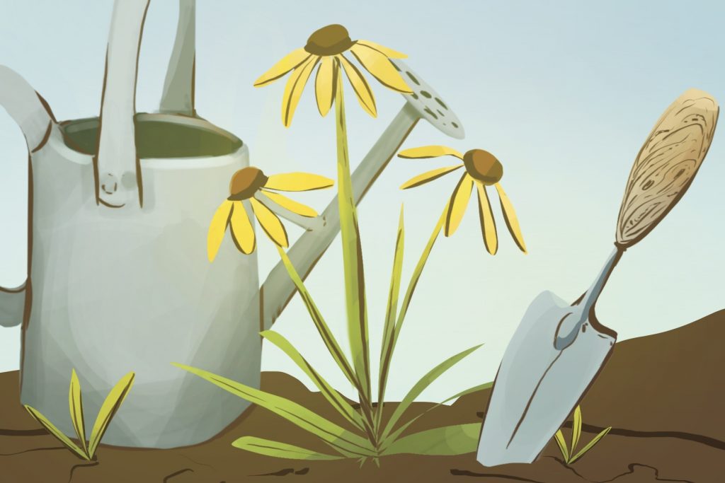 native plants next to watering can and shovel
