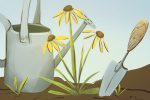 native plants next to watering can and shovel