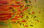 a photo of microplastics