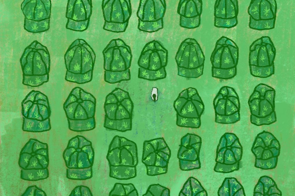 an illustration of weed hats for an article on t-break