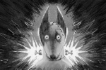 An illustration of Sparky from Frankenweenie