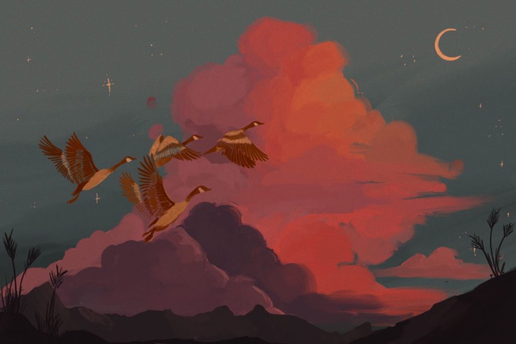 Illustration of birds flying during their bird migration