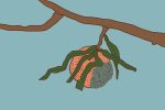 In an article about A Little Life, an illustration of a rotting fruit