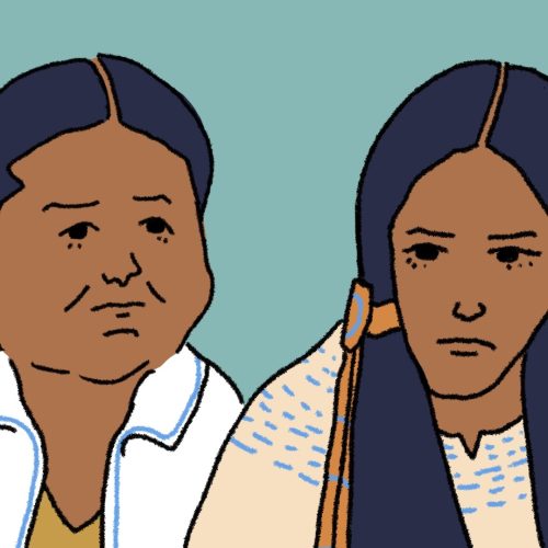 An Illustration of Sacheen Littlefeather