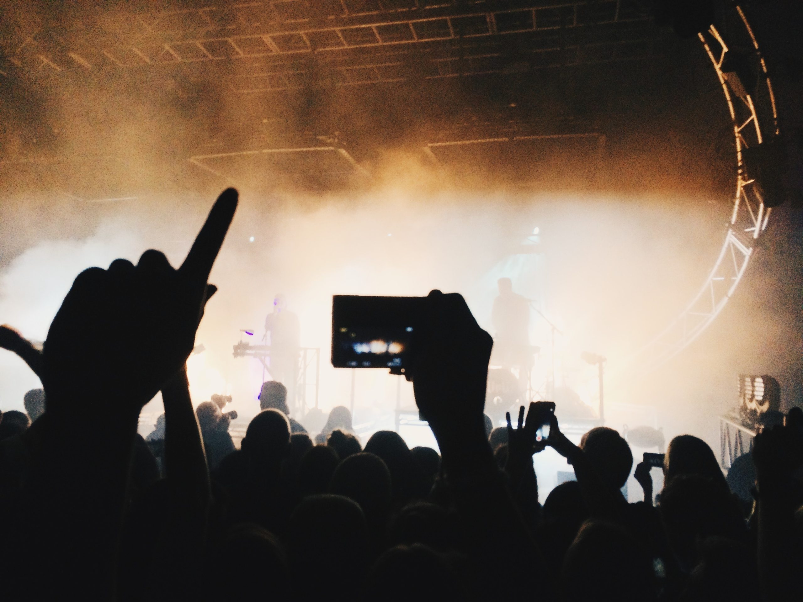 A sea of heads at a smoky concert