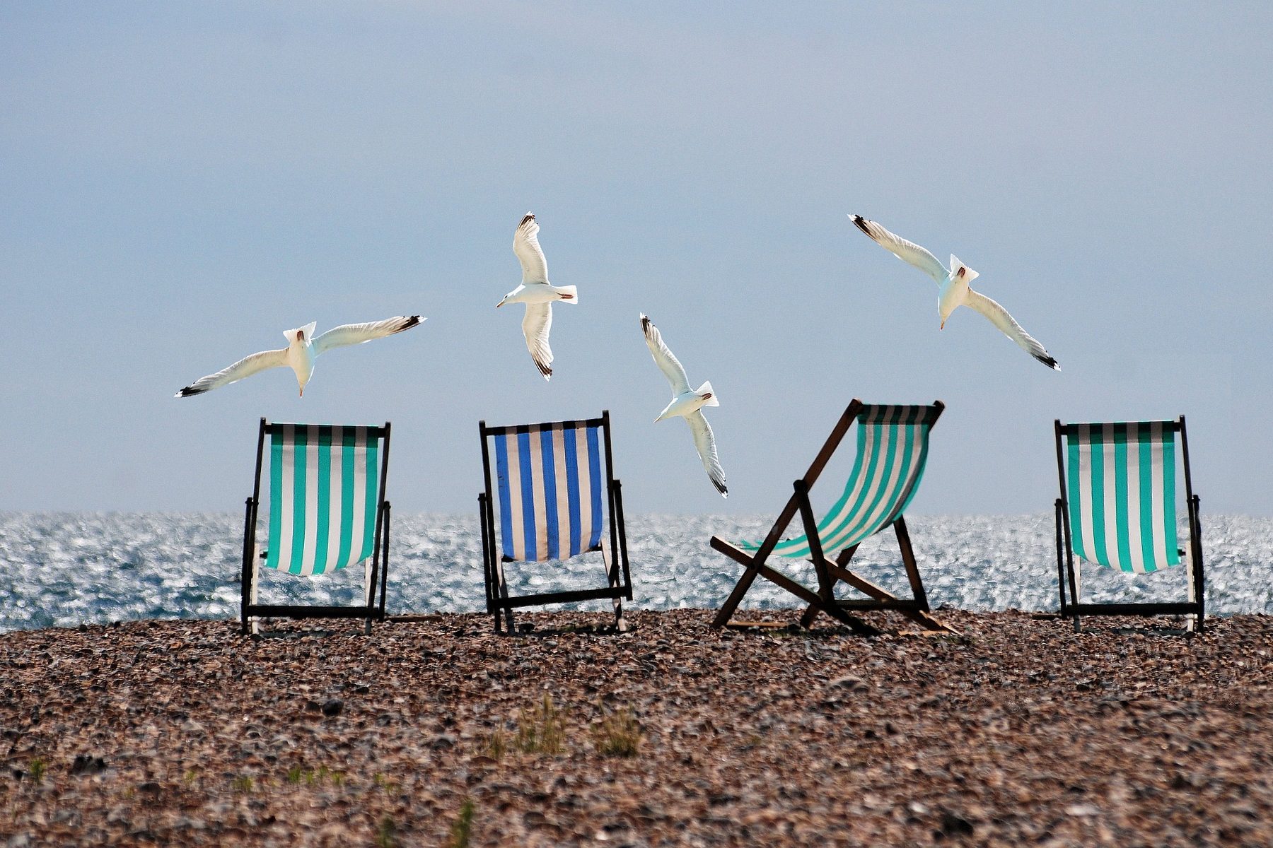 In an article about how to enjoy the holidays, four beach chairs on a beach with four white seagulls flying overhead.