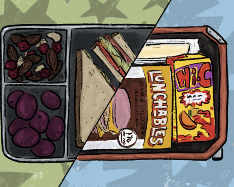 The halves of two lunch trays -- one grey and one orange -- are joined, the orange containing a packaged lunch, a juice box and string cheese, while the grey holds a more natural meal: sandwiches, nuts and berries, grapes. They are divided by a diagonal cutting down the middle, bisecting the background into green on the left and blue on the right, yet each are covered in stars.